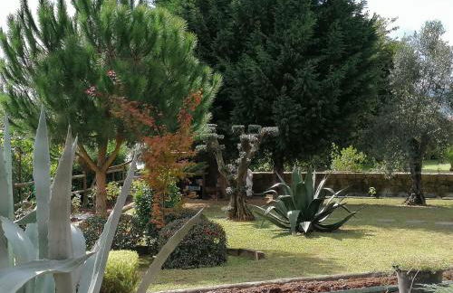 CAMPO DE SOBARBO - Guest House rural - Foto 24