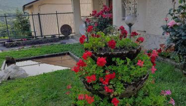 Casa Vacanze Domus Angela - Foto 5