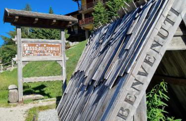 BMP APARTMENT EDELWEISS PASSO DEL TONALE - Foto 24