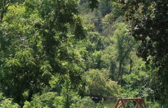 River Ridge Inn - Foto 30