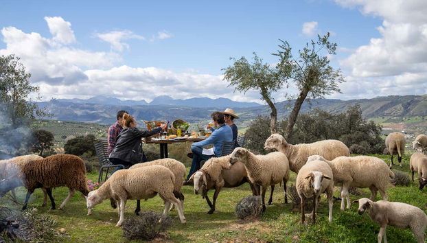 Disfrutando de la visita a la finca LA Almazara