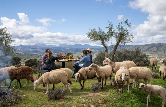 Visita a la finca LA Almazara con cata de aceites - Foto 2