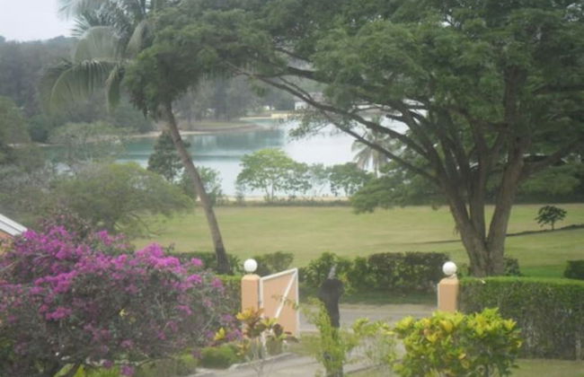 Quest Apartments - Photo 41