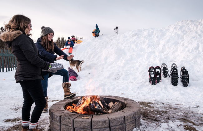 Heron's Nest Cottages - Foto 36