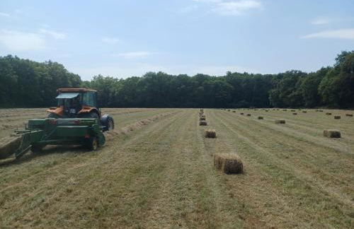 Gîte Le Bois Clairet - Foto 28