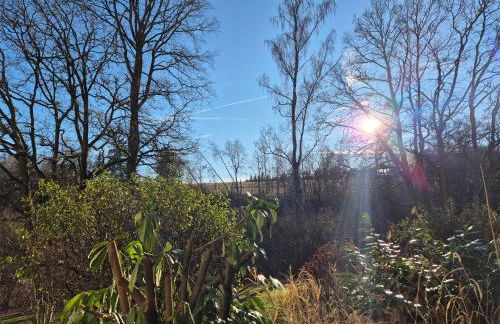 Neue moderne Ferienwohnung NaturBlick am Rothaarsteig mit Highspeed Internet Flatrate XXL Boxspringbett Terrasse mit PKW Parkplatz in Brilon 10 Minuten bis Willingen Ideal für Touristen und Geschäftsleute mit Rechnung - Foto 24