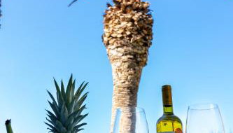 White Pearl - Foto 5