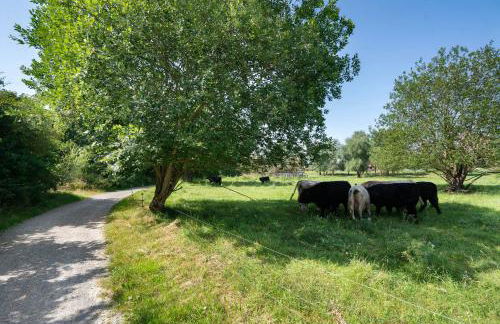 Wohnung zum Hirschen - Foto 29