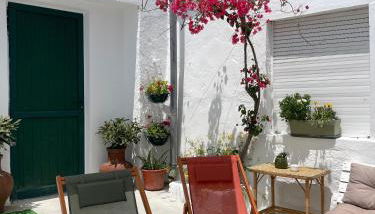 A Casa dos Raminhos - Foto 4