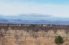 Cortijo Baul - Photo 13