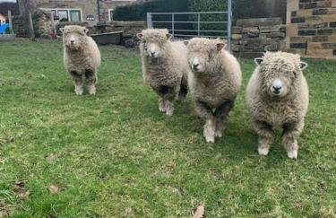 The Stables at Lower Carr Barn - Foto 39