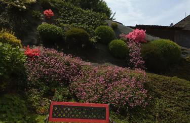 Les Hortensias - Foto 9