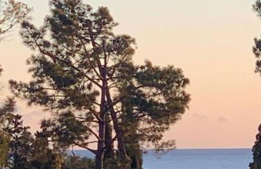 Appartement les pieds dans l'eau - Foto 30