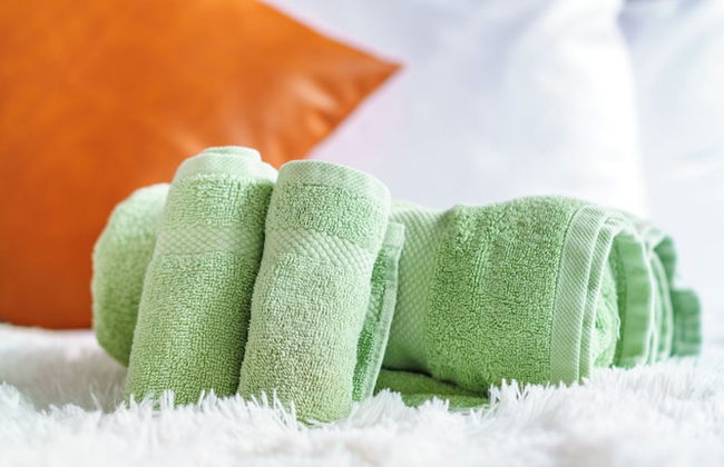 Jungle Casa Lundy - Foto 14