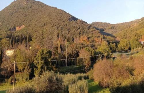 Luxury Retreat Montevettolini - Foto 71