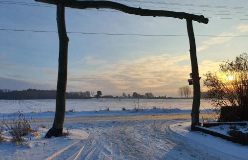 Gniazdo w Felicjanowie - Foto 8