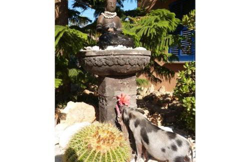 with sea view Comfortable holiday residence - Foto 8