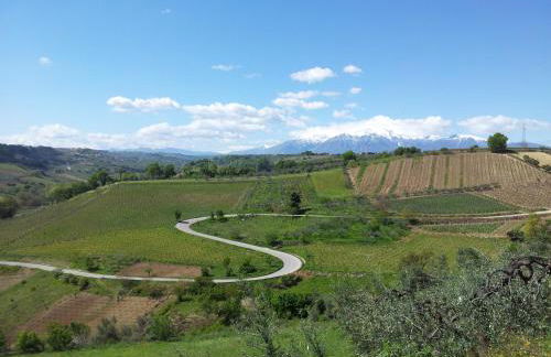 Il Leone Rosso over the hills of the Trabocchi - Foto 32