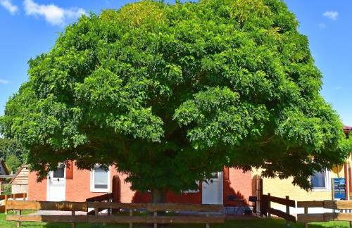 Ferienwohnung am Oase am Vilzsee - Foto 71