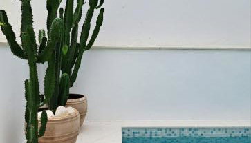 Casa do Logradouro - Foto 1