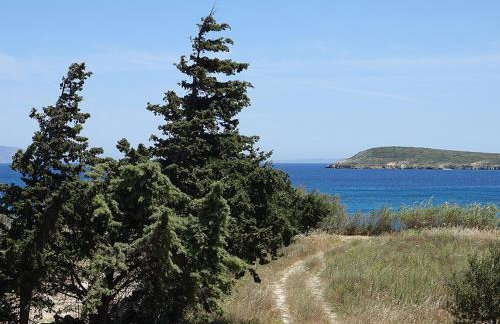 Flora Apartments - Photo 18