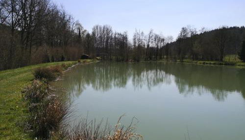 Ferienwohnung Alte Linde - Foto 5