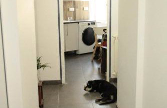 Hostel du lapin blanc - Foto 25