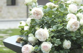 Agriturismo CasaMela - Foto 33