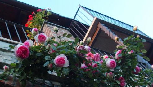 La Corte Di Langa - Foto 4, Garden