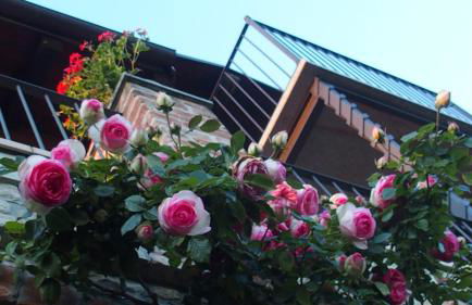 La Corte Di Langa - Foto 4