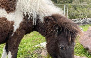 Cabana Horizonte - Photo 16