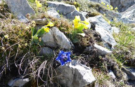 FW Weissensee 44 - Foto 42