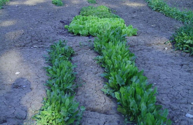 Agriturismo San Pietro - Photo 36