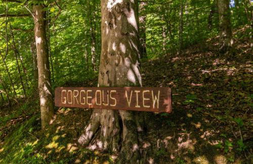 Gorgeous View Cabin - in Red River Gorge KY - Foto 43