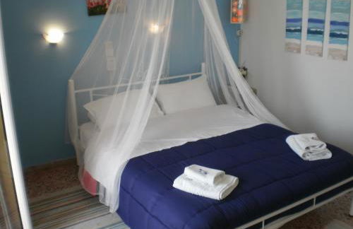 Sunrise Flora - Foto 10