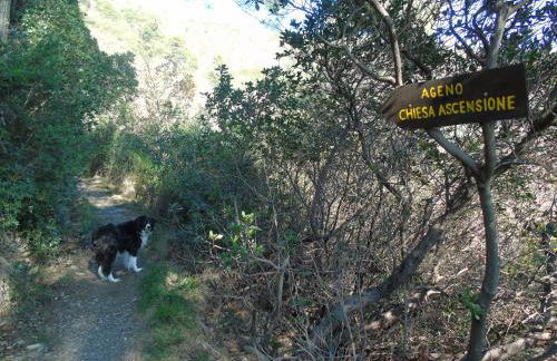 Dependance Belvedere - Foto 41