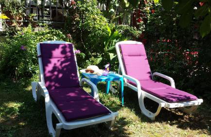 Apartments Paco & Bony - Photo 1