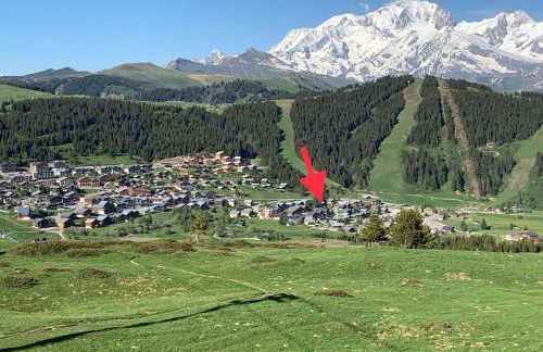 APPARTEMENT COSY AUX SAISIES n1 - Foto 1