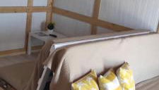 La pinza verde - Foto 1