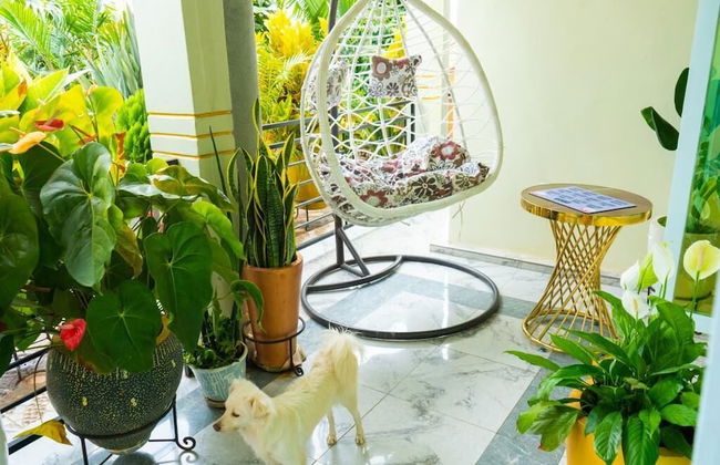 COMFORT VILLA APARTMENT - Foto 3