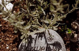 Elounda Τheros - Foto 68