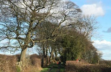 Brooksides Byre Durham Country Cottage - Photo 10