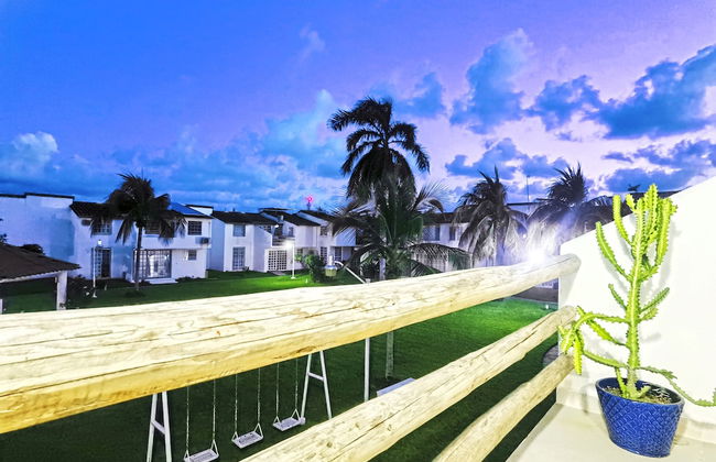 HominngBird - Foto 80