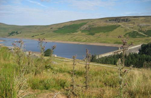 Old Stone Cottage - Foto 24