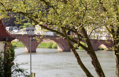 Ferienwohnungen Neckarblick - Heidelberg Altstadt - Foto 18