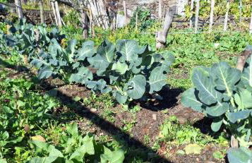 Casa Leopina Apri gli occhi e vola oltre il mare - Foto 31