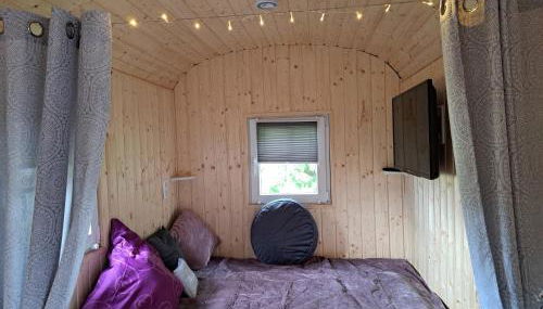 Bauwagen "Rhumeblüte" - Foto 4