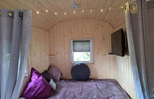 Bauwagen "Rhumeblüte" - Foto 4