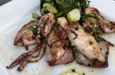 BUQEZ ECO RESORT - Beach Villas 2 and 8 - Seaview, new wifi! - Photo 69