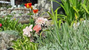 Alpenchalet Zum Jeremia - Foto 2, Garden